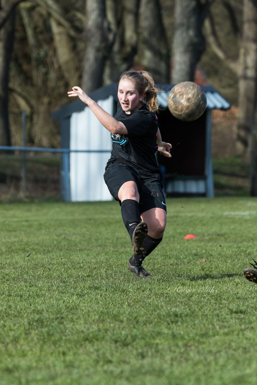 Bild 219 - C-Juniorinnen SV Steinhorst/Labenz - TSV Friedrichsberg-Busdorf : Ergebnis: 5:0